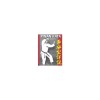 Karate: Pinan Katas in Depth