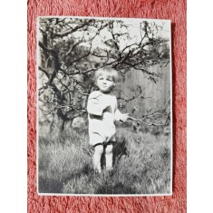 Fotografie, Geo (dr. Litarczek, parintele radiologiei romanesti) la un an si patru luni, Cambridge 1926