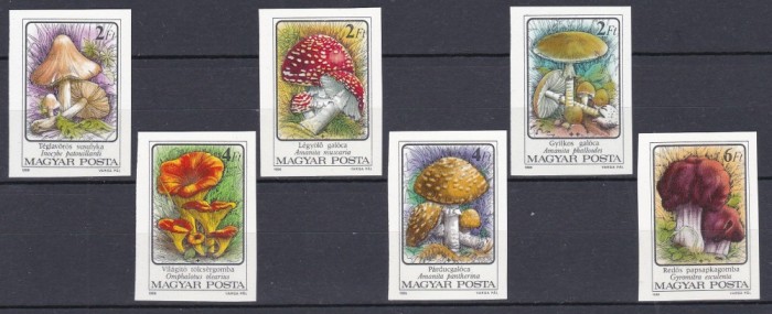 DB1 Ungaria 1986 Flora Ciuperci 6 v. MNH NDT