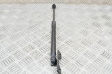 Amortizor capota dreapta față TESLA MODEL 3 2021 OEM: 1091472-00-B 15443934