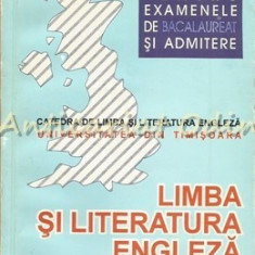 Sinteze Si Exercitii De Limba Si Literatura Engleza - Rodica Borsa, Pia Branzeu