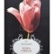 V. C. Andrews - Gradina umbrelor (Editia: 2017)