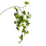 Ramura iedera decorativa artificiala de agatat,plastic,verde,94 cm, Oem
