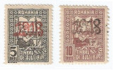 Romania, LP VI.7/1918, Timbru de ajutor - Tesatoarea, supratipar 1918, MNH