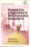 Dumnezeu Calatoreste Incognito - Laurent Gounelle, Philobia, 2011, Roman, Editie Paperback