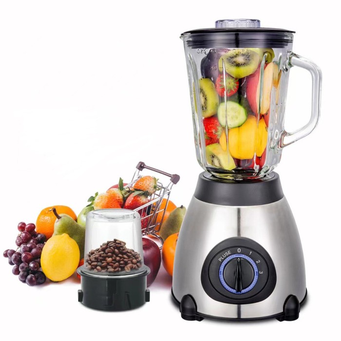 Blender 2 in 1 FR60, 1000W