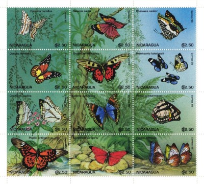 NICARAGUA 1998 - Fluturi / colita MNH foto