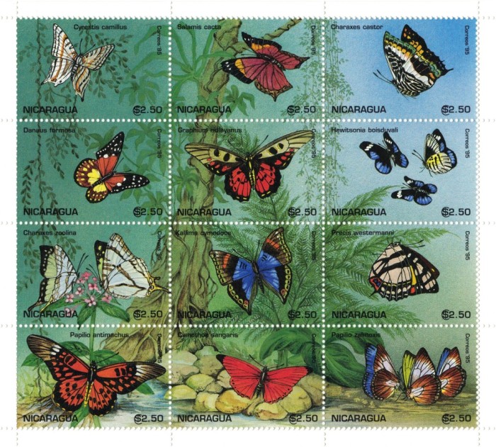 NICARAGUA 1998 - Fluturi / colita MNH