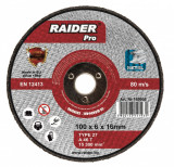 Disc pentru metal &oslash;100x6x16mm, Raider 169903