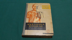 ANATOMIA OMULUI *MANUAL PENTRU ?COLILE DE ASISTENTE MEDICALE/ 1961 foto