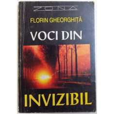 VOCI DIN INVIZIBIL de FLORIN GHEORGHITA , 1995