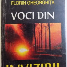 VOCI DIN INVIZIBIL de FLORIN GHEORGHITA , 1995