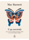 Cumpara ieftin Usa Secreta. De Ce Sunt Cartile Pentru Copii Un Lucru Foarte Serios, Mac Barnett - Editura Art