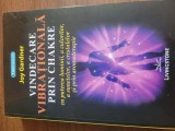Cumpara ieftin Vindecarea vibrationala prin chakre - Joy Gardner