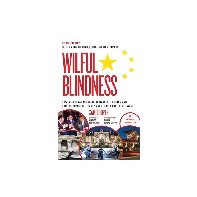 Wilful Blindness Election Interference Elite and State Capture
