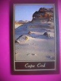 HOPCT 7648 CAPE COD MASSACHUSETTS -SUA-AMERICA DE NORD -CIRCULATA
