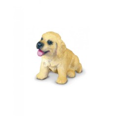 Golden Retriever Pui S Collecta