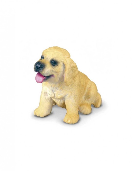 Golden Retriever Pui S Collecta