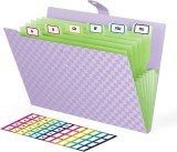 Set organizator cu 7 buzunare tip acordeon si 48 etichete Abc, plastic/hartie, mov/verde, 32,5 x 24,3 cm