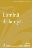 Lumina de lampa - Grupul Art