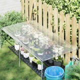 Cumpara ieftin Husa pentru plante 1 x 2,5 m PE Transparent