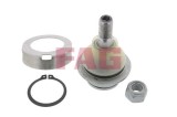 Pivot brat suspensie Ford Tourneo Connect, Tourneo Custom V362, Transit, Transit Connect, Transit Custom V362, Transit Sasiu, Transit Tourneo,
