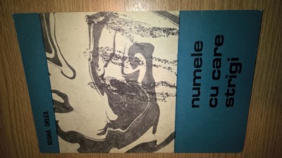 Ioana Orlea - Numele cu care strigi (Editura Junimea, 1970) foto
