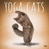 Yoga Cats 2024 Square