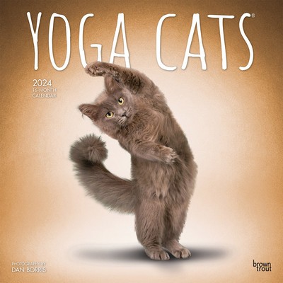 Yoga Cats 2024 Square foto