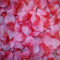 1000 buc. petale trandafiri artificiali roz
