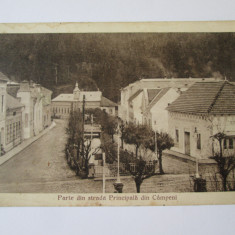 Carte poștala Câmpeni(Alba):Parte din strada Principală/Soc.Comerc.Steaua 1928
