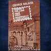 Noptile unui provincial - George Balaita, Editura Junimea - Roman