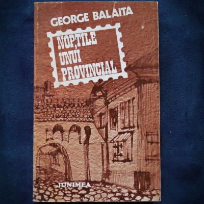 NOPTILE UNUI PROVINCIAL - GEOGE BALAITA - JUNIMEA foto