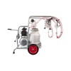 Aparat de muls vaci, oi, capre EMT 3 posturi, 1 bidon aluminiu 30L, tanc vacuum 16L, motor 0.75CP, 170L/min, pulsator pneumatic