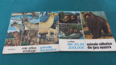 LOT 2 CAR?I : MIC ATLAS ZOOLOGIC*ANIMALE DOMESTICE, ANIMALE SALBATICE/ 1975 foto