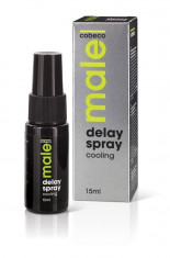 Spray Contra Ejacularii Precoce Male Delay Cooling, 15 ml foto