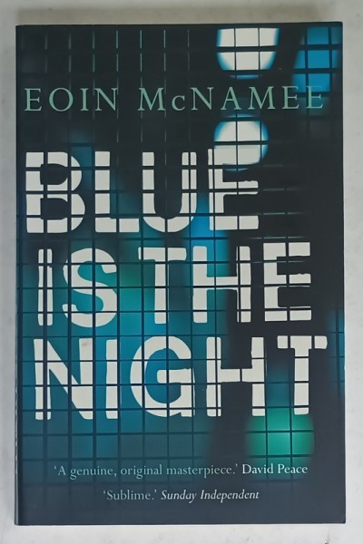 BLUE IS THE NIGHT by EION McNAMEE , 2015