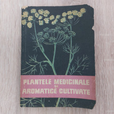 Plantele medicinale si aromatice cultivate/Florentin Craciun/1962//