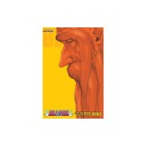 Bleach (3-In-1 Edition), Vol. 20: Includes Vols. 58, 59 &amp; 60