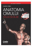 Anatomia omului. Atlas şcolar - Paperback brosat - Florica Tibea - Corint