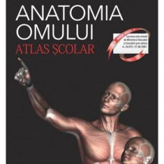 Anatomia omului. Atlas şcolar - Paperback brosat - Florica Tibea - Corint