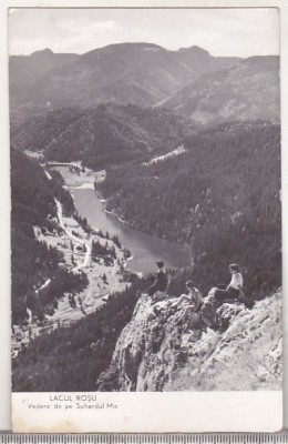 bnk cp Lacul Rosu - Vedere spre Suhardul Mic - uzata foto