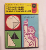 Florica T. Campan - Triunghiuri triunghiuri si iar triunghiuri