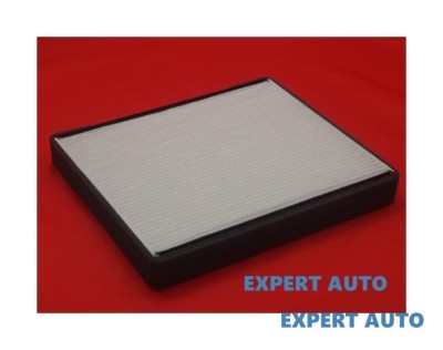 Filtru polen w Hyundai Matrix (2001-2010)[FC] #1 foto