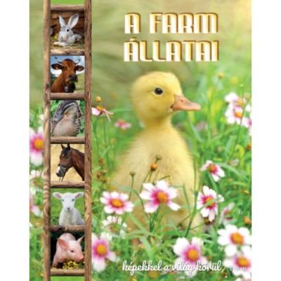 A farm &amp;aacute;llatai foto