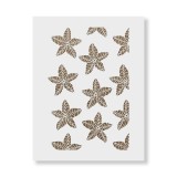 Cumpara ieftin Sablon Perete vopsire, tencuiala 900x600x0.7mm Starfish Refolosibil, model MXSP7125