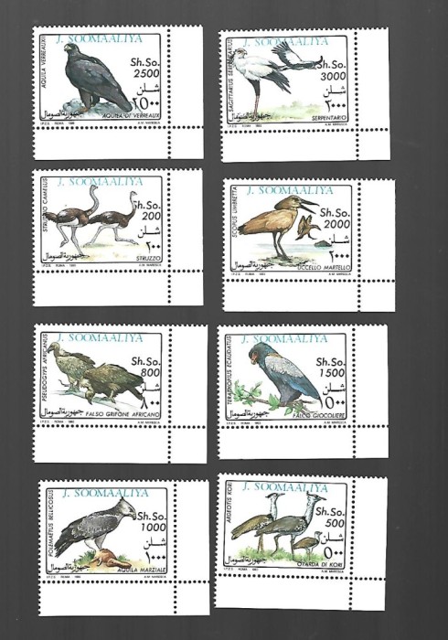 somaliya pasari mnh