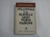 PELERINAJ LA RUINELE UNEI VECHI PASIUNI - TEODOR MAZILU