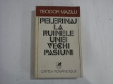 PELERINAJ LA RUINELE UNEI VECHI PASIUNI - TEODOR MAZILU