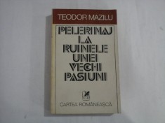 PELERINAJ LA RUINELE UNEI VECHI PASIUNI - TEODOR MAZILU